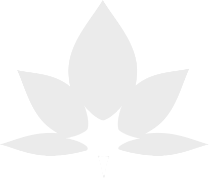 Nicole Stern Meditationskurse Logo